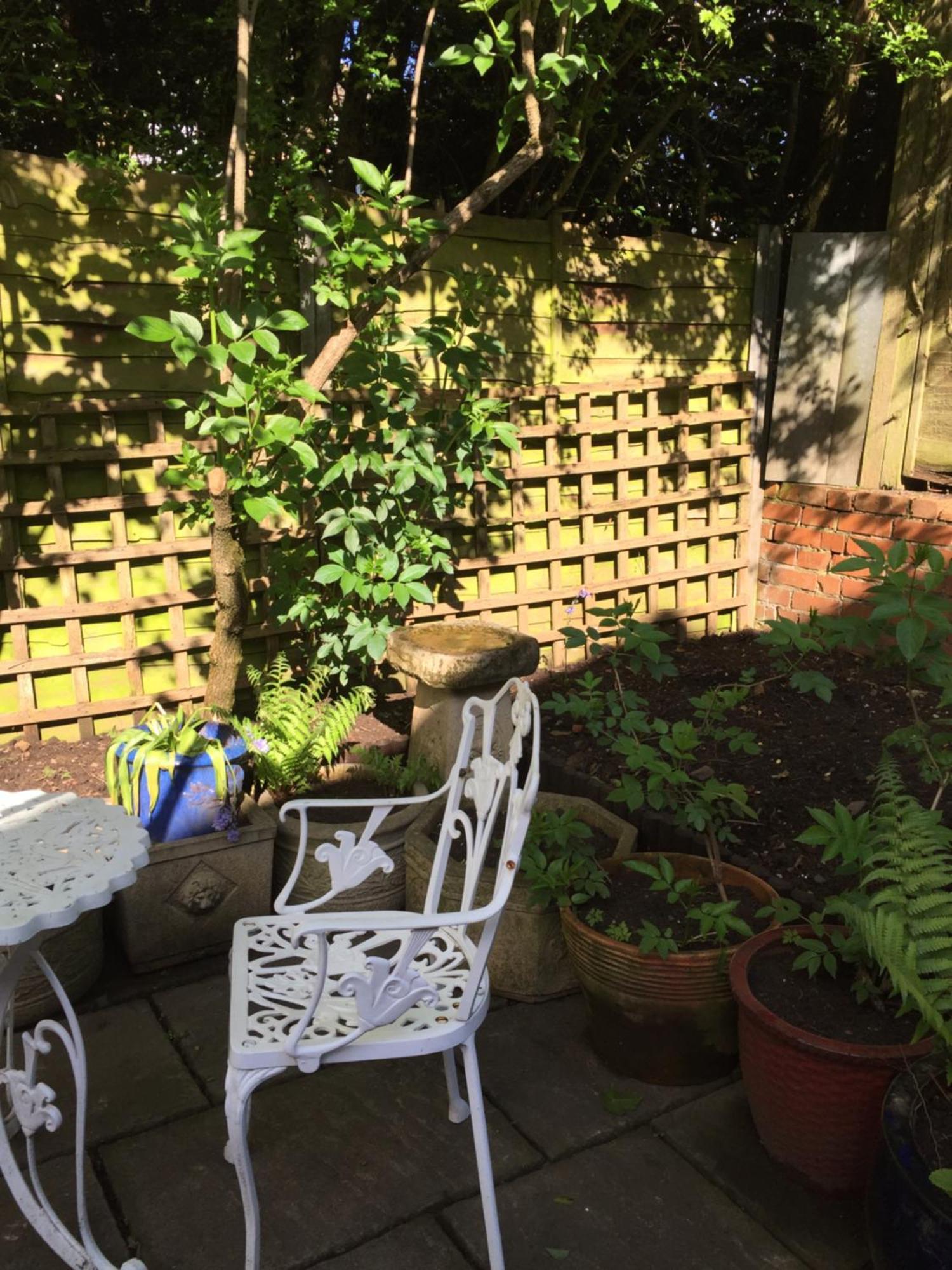 Lowri Cottage Hotel Shenstone Εξωτερικό φωτογραφία